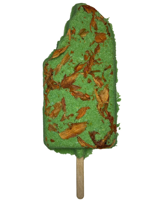 Paseo por Puebla Paleta Bomb